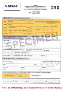 Model de formular D230 completat